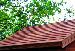 SHEDS: FITTED SHEDS and DIY SHEDS - Cedar slatted roof